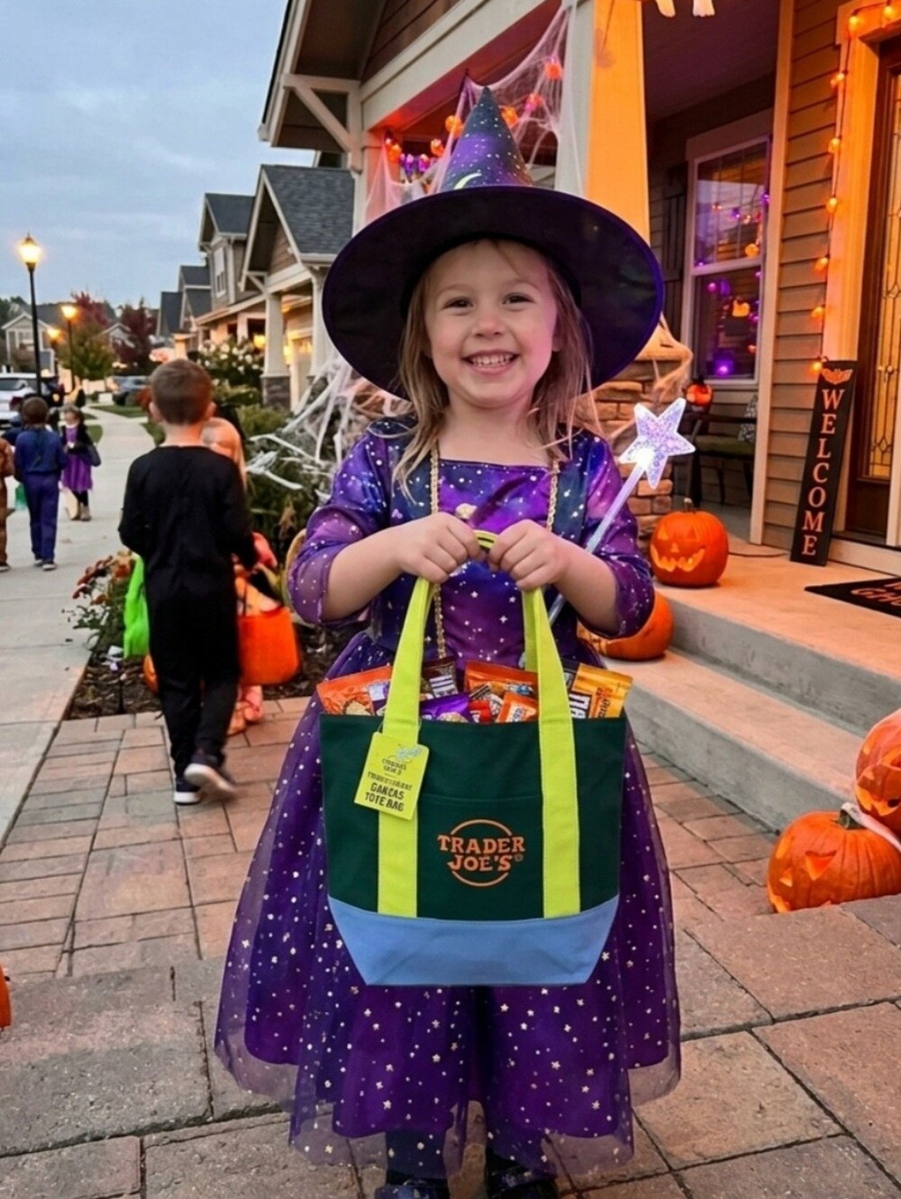 Trader Joe's Green, Black and Purple Canvas Tote Bag NWT